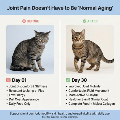 Maiola™ Collagen For Cats