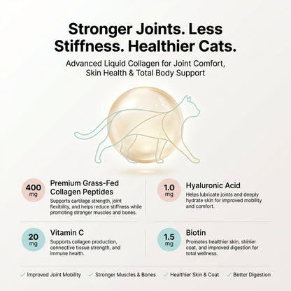 Maiola™ Collagen For Cats
