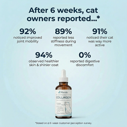 Maiola™ Collagen For Cats